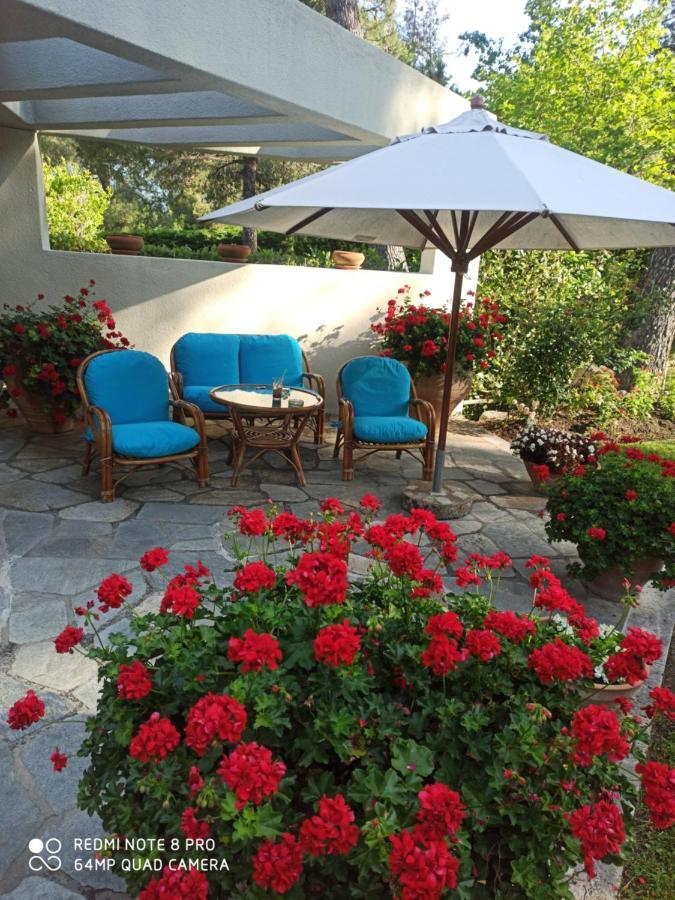 Sani Villa Maria Exteriér fotografie