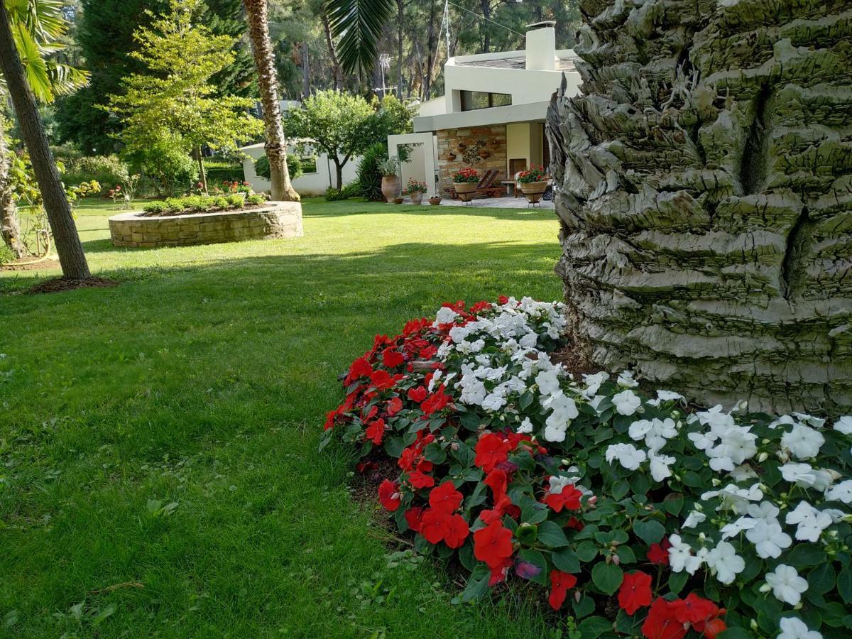 Sani Villa Maria Exteriér fotografie